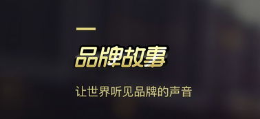 案例分享 定制化品牌產(chǎn)品